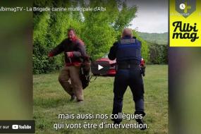 AlbimagTV - La Brigade canine municipale d'Albi