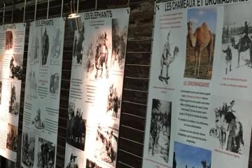 Expositions « les animaux soldats, des héros oubliés » et « Plus de 100 grandes photos sur la guerre 14-18 », proposées par le Souvenir Français dans le cadre des manifestations organisées par la Ville pour le Centenaire de la fin de la 1ere Guerre Mondiale...