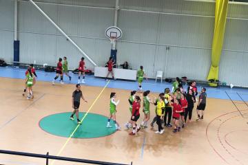 Soirée handball au gymnase Jean Jaures d'#Albi : défaite des féminines contre Castanet- Ramonville-Auzeville malgré une belle efficacité offensive (20 buts marqués) et belle victoire des seniors M2 contre Pamiers.