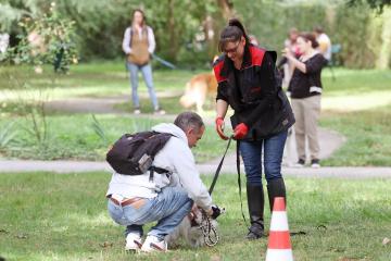 Cours canin