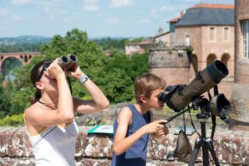 Séances d'observation des faucons pèlerins depuis les jardins du Palais de la Berbie
