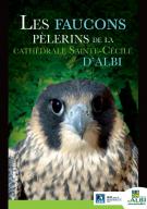 Guide - Les faucons pèlerins d'Albi